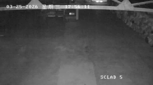 Caméra IP - Mongolia