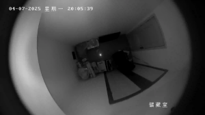 Caméra IP - China