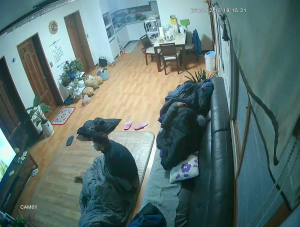 Caméra IP - South Korea