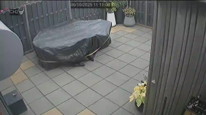 Caméra IP - Netherlands