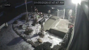 Caméra IP - United States of America