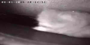 Caméra IP - Frankreich