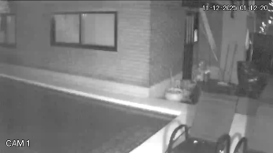 Caméra IP - Argentine