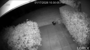 Caméra IP - United States of America