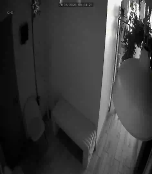 Caméra IP - Royaume-Uni