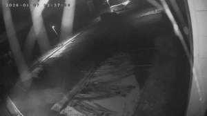 Caméra IP - Francia