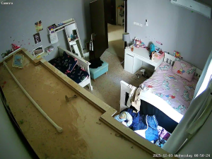 Caméra IP - Saudi Arabia