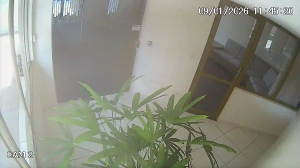 Caméra IP - Brésil