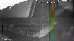 Caméra IP - Paesi Bassi