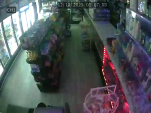 Caméra IP - United States of America