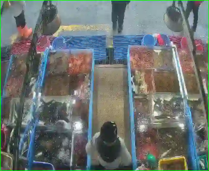 Caméra IP - South Korea