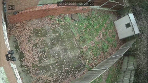 Caméra IP - Vereinigtes Königreich