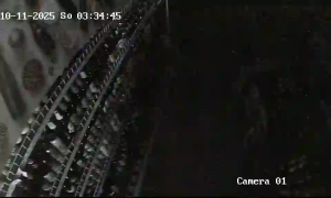 Caméra IP - Polen