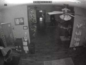 Caméra IP - États-Unis d'Amérique