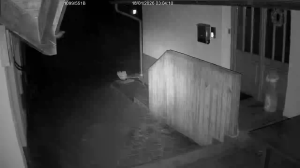 Caméra IP - Germany