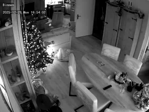 Caméra IP - Pays-Bas