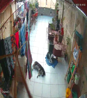 Caméra IP - Mexique