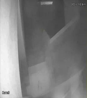 Caméra IP - Égypte