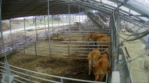 Caméra IP - Corée du Sud