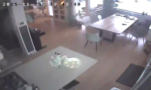 Caméra IP - Niederlande