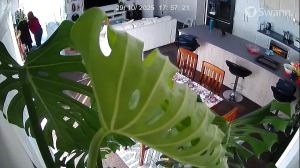 Caméra IP - New Zealand