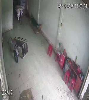 Caméra IP - Vietnam