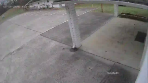 Caméra IP - United States of America