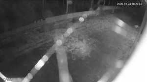 Caméra IP - Portugal