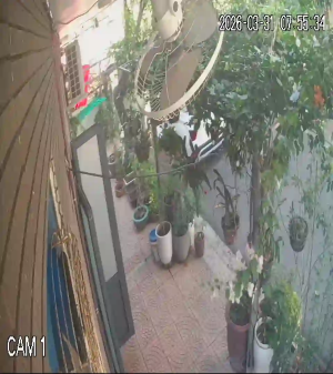 Caméra IP - Vietnam