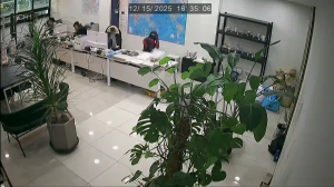 Caméra IP - Südkorea