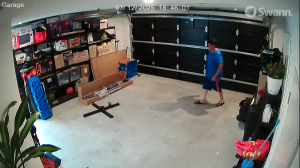 Caméra IP - Nueva Zelanda