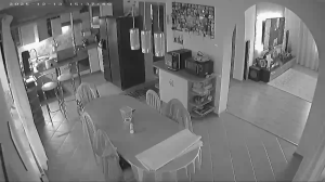 Caméra IP - Polonia