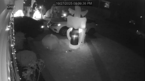 Caméra IP - Estados Unidos