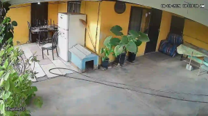 Caméra IP - Mexique