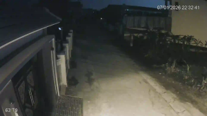 Caméra IP - Vietnam