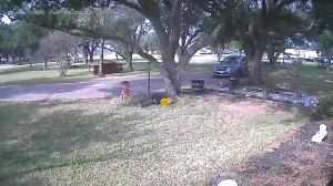 Caméra IP - United States of America