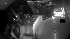 Caméra IP - Vereinigte Staaten von Amerika