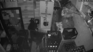 Caméra IP - Germany