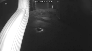 Caméra IP - United States of America