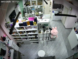 Caméra IP - Russische Föderation