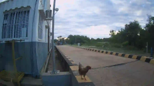 Caméra IP - Vue en direct