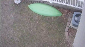 Caméra IP - United States of America