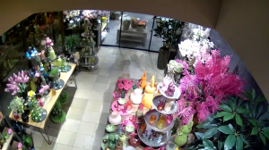 Caméra IP - Germany