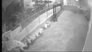 Caméra IP - Porto Rico