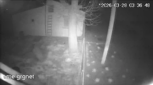 Caméra IP - Ucraina