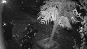 Caméra IP - Pays-Bas