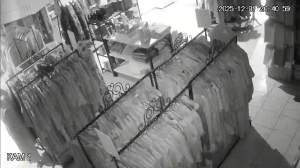 Caméra IP - Russian Federation