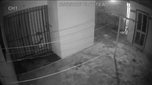 Caméra IP - Curaçao