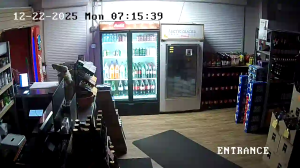 Caméra IP - Canadá