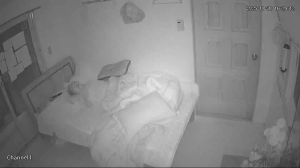 Caméra IP - South Korea